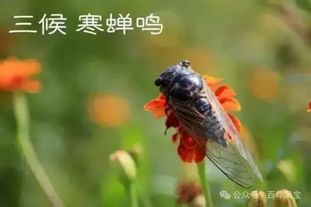 5.jpg 5.jpg