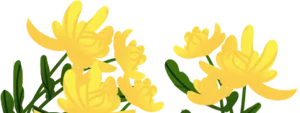 003.png 003.png